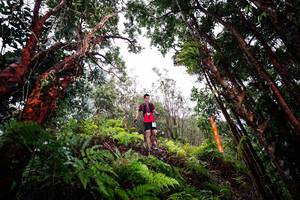 BIB: 
                            <button type="button" onclick="openModal(26201628)" class="btn btn-primary btn-sm float-right btn-popup" data-toggle="modal" data-target=".modal-high-quality">
                        <i class="fas fa-shopping-cart"></i> Add to Cart
                    </button>
                                            <button type="button" onclick="isThisMe(26201628, true)" class="btn btn-success btn-sm float-right btn-popup btn-isme hidden" data-toggle="tooltip" data-placement="bottom" title="นี่คือรูปของคุณใช่ไหม คลิกที่นี่เพื่อเอาเข้าอัลบั้ม">
                        <i class="fas fa-plus"></i> Add to album
                    </button>
                    <button type="button" onclick="isThisMe(26201628, false)" class="btn btn-warning btn-sm float-right btn-popup btn-isnotme hidden">
                        <i class="fas fa-ban"></i> Remove from album
                    </button>